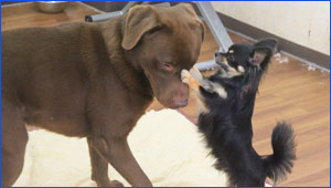 デイユース リクandココ写真