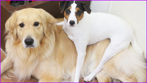 デイユース リリカ写真