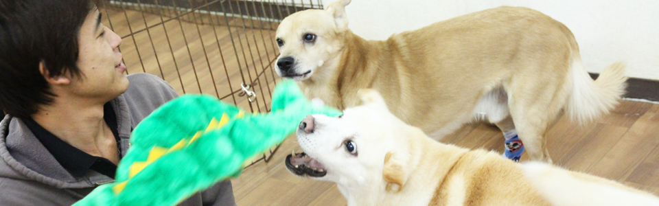 デイユースメイン写真