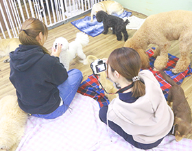 ホテルサイド写真2