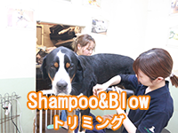 トリミングアイコン