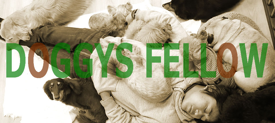 メインボス写真