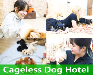 ホテルアイコン