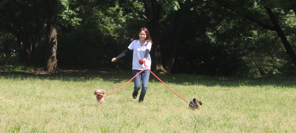 メインお散歩写真