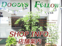 店舗案内アイコン