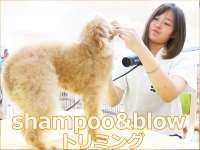 トリミングアイコン